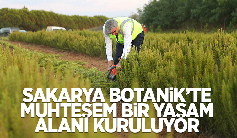 Yüce, tarım projelerini anlattı