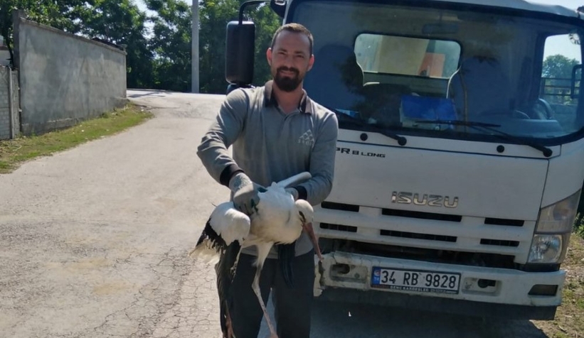 Yüksek gerilime takılan Leylek kurtarıldı