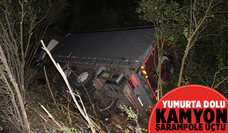 Yumurta dolu kamyon şarampole devrildi