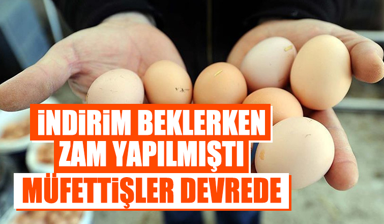 Yumurta fiyatları için müfettiş görevlendirildi