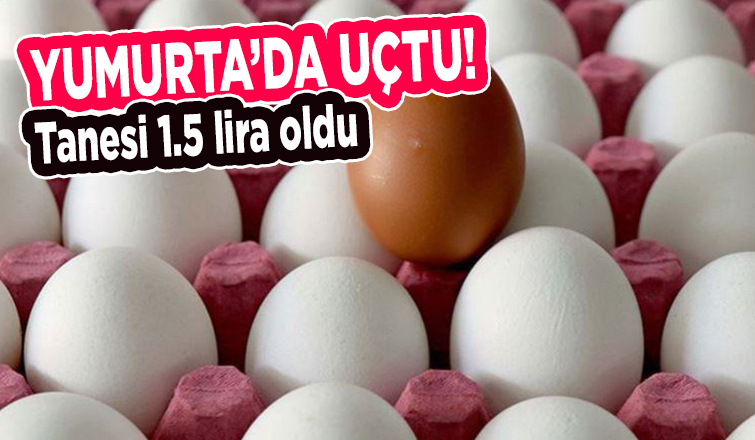 Yumurta fiyatları uçtu