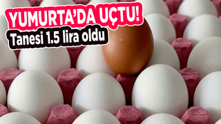 Yumurta fiyatları uçtu