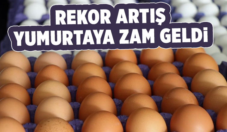 Yumurta fiyatlarına rekor zam
