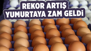 Yumurta fiyatlarına rekor zam