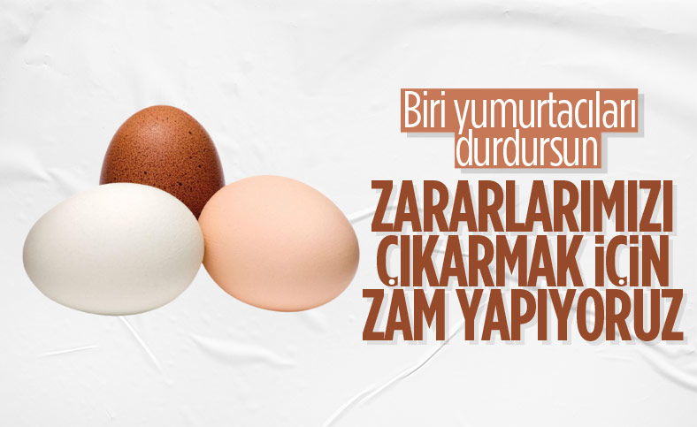 Yumurta fiyatlarının neden arttığını açıkladı