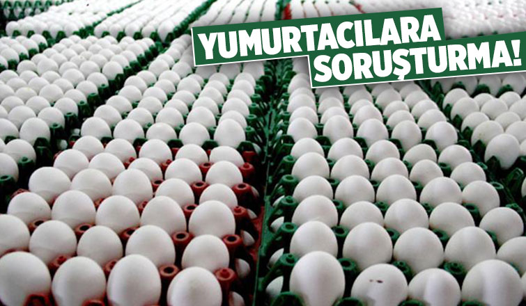 Yumurta üreticilerine Rekabet soruşturması