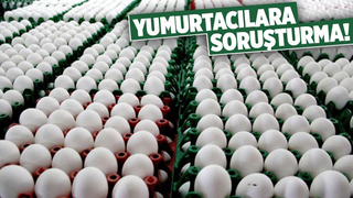 Yumurta üreticilerine Rekabet soruşturması