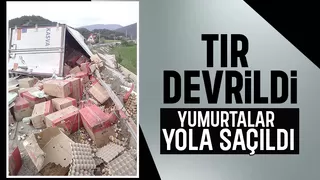 Yumurta yüklü tır devrildi