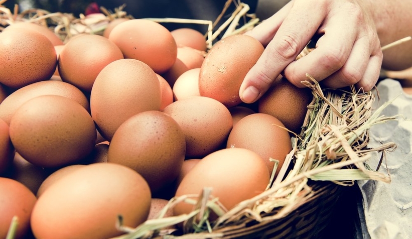 Yumurtacılardan açıklama