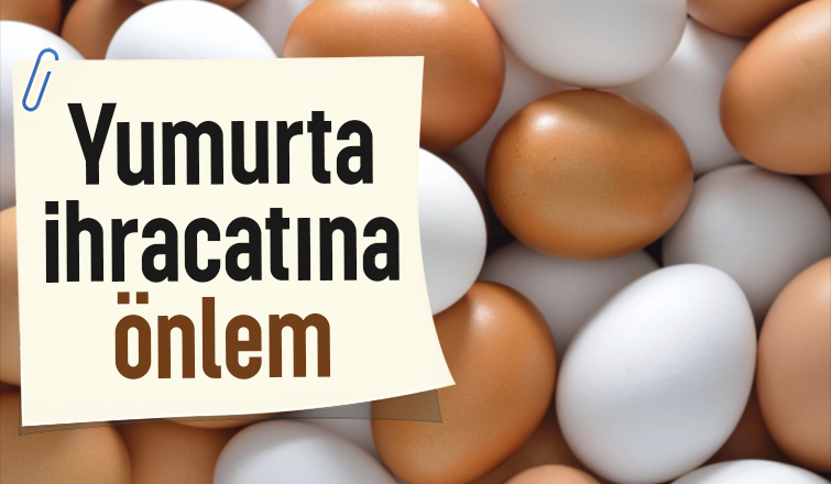 Yumurtada fiyat artışını önleyecek düzenleme