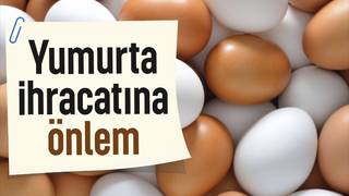 Yumurtada fiyat artışını önleyecek düzenleme