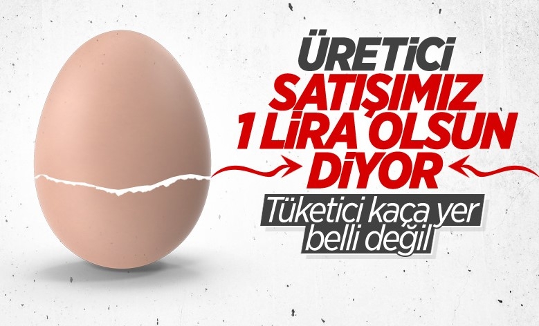 Yumurtada zam kapıda