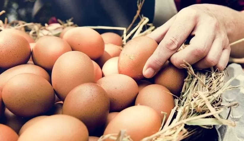 Yumurtanın tanesi 2 liraya çıkabilir