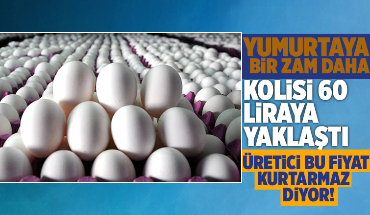 Yumurtaya bir zam daha
