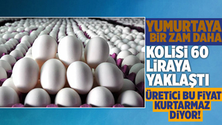 Yumurtaya bir zam daha