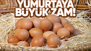 Yumurtaya peş peşe zamlar