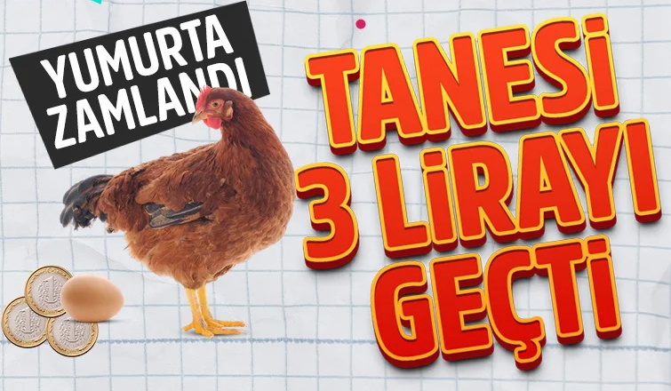 Yumurtaya zam geldi