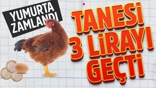 Yumurtaya zam geldi