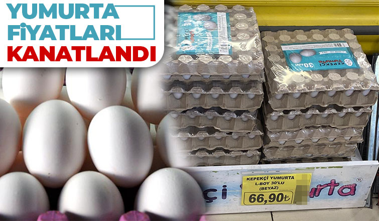 Yumurtaya zam: Kolisi 67 lira