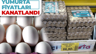 Yumurtaya zam: Kolisi 67 lira