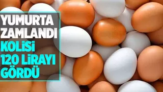 Yumurtaya zam