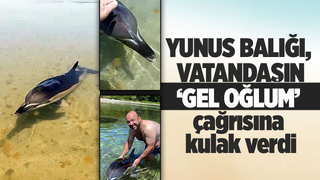 Yunus balığına fısıldayan adam