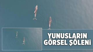Yunuslar görsel şölen oluşturdu