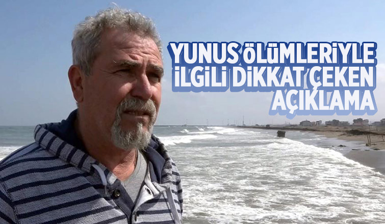 Yunuslar o nedenle mi öldü?