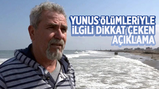 Yunuslar o nedenle mi öldü?