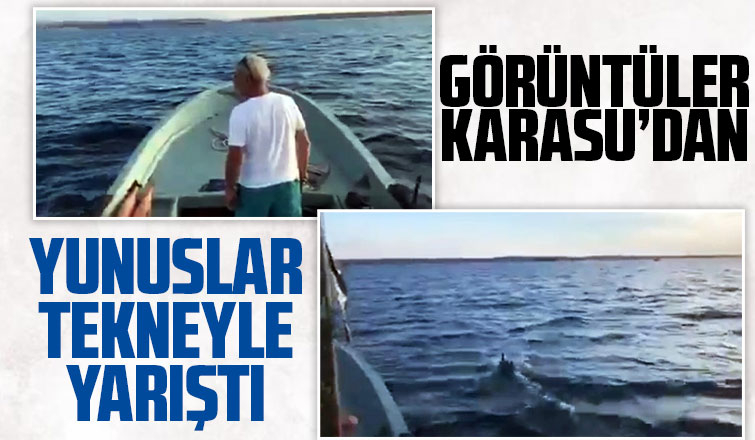 Yunuslar tekneyle yarıştı