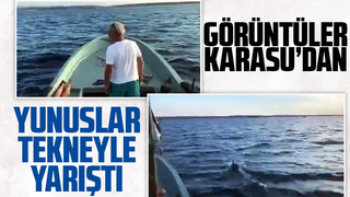 Yunuslar tekneyle yarıştı