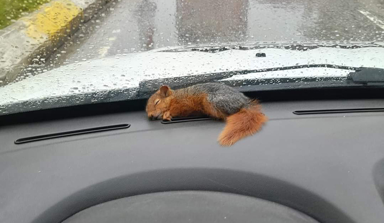 Yürek ısıtan fotoğraf