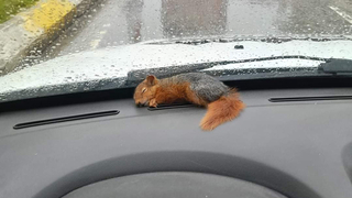 Yürek ısıtan fotoğraf