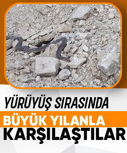 Yürüyüş yaparken karşılarına çıktı; 2 metrelik yılan.