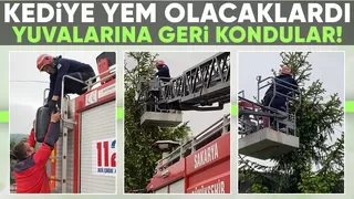 Yuvadan düşen karga yavrularının imdadına itfaiye yetişti