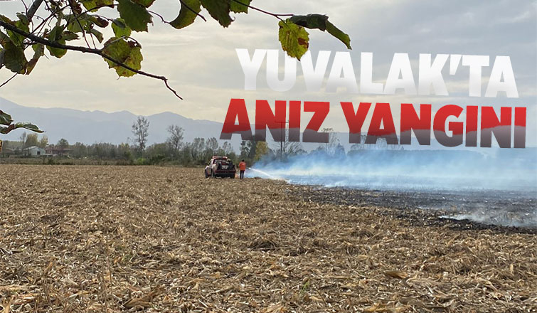 Yuvalak'ta anız yangını