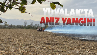 Yuvalak'ta anız yangını