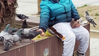 Yüzlerce kuşu elleriyle besledi