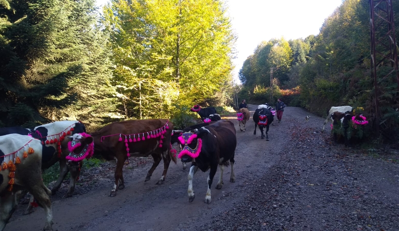 Yüzyıllık göç başladı