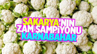 Zam şampiyonu karnabahar