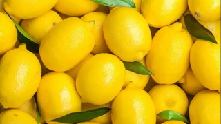  Zam şampiyonu Limon