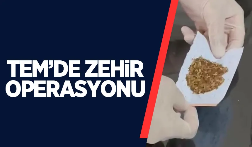 Zehir tacileri yakalandı