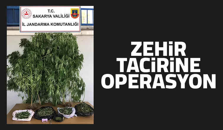 ZEHİR TACİRİNE OPERASYON