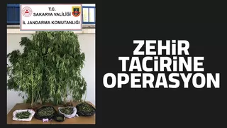 ZEHİR TACİRİNE OPERASYON