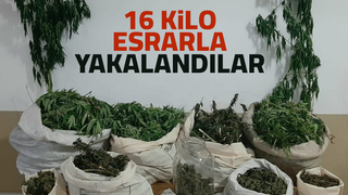 Zehir tacirleri yakalandı