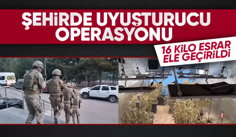 Zehir tacirlerine operasyon