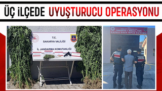 Zehir tacirlerine üç ilçede operasyon