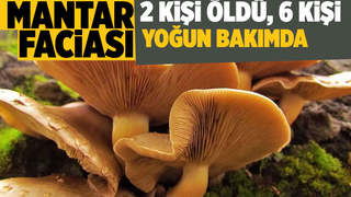 Zehirli mantar facası: 2 ölü, 6 kişi yoğun bakımda