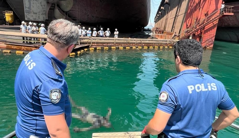 Zıpkınla balık avı sonu oldu