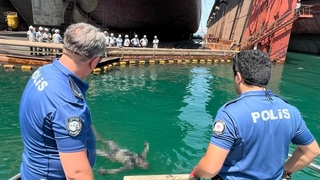 Zıpkınla balık avı sonu oldu